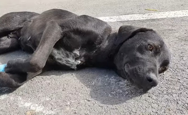 Extra image from article