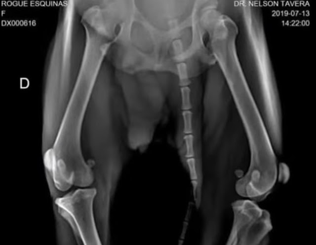 Extra image from article