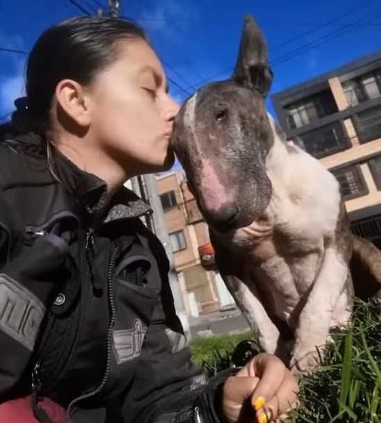 Extra image from article