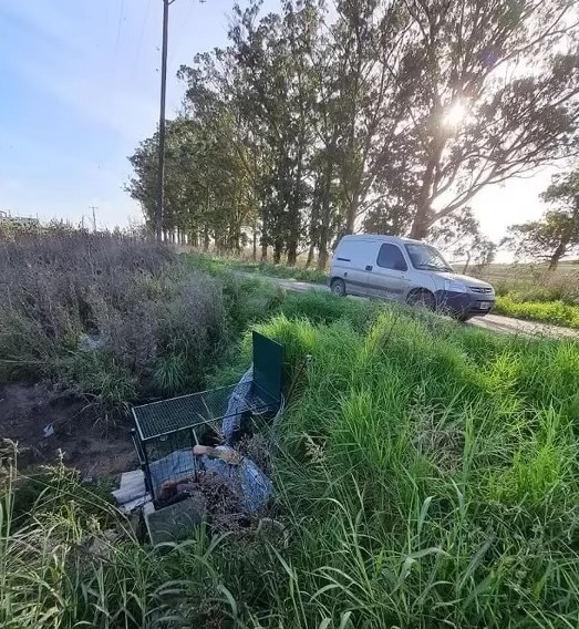 The three little puppies lay peacefully,...