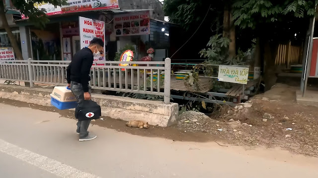 Thankfully, Frank showed signs of recove...