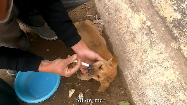 Extra image from article