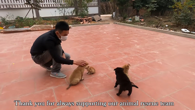 Extra image from article