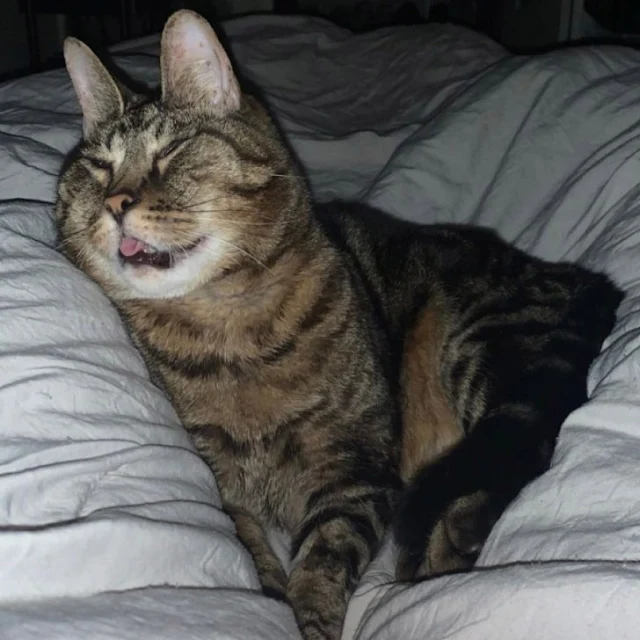 This touching story highlights the beaut...