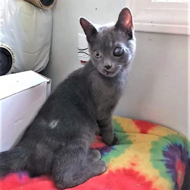 So keep fighting, little warrior! The mo...