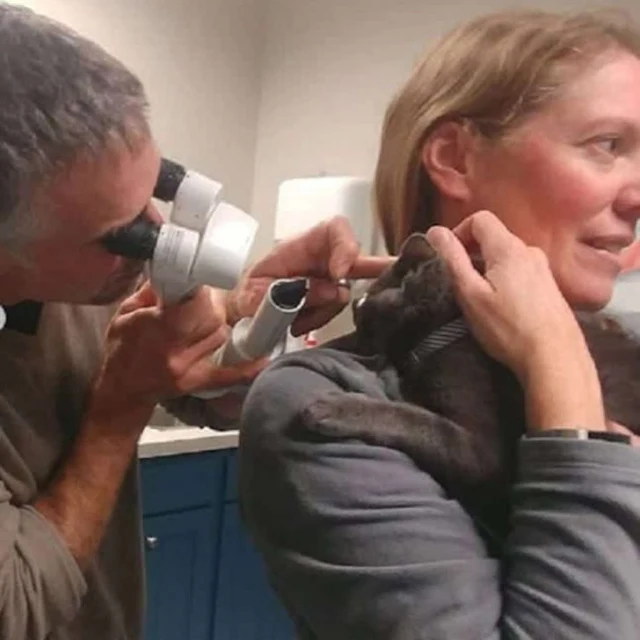 Extra image from article