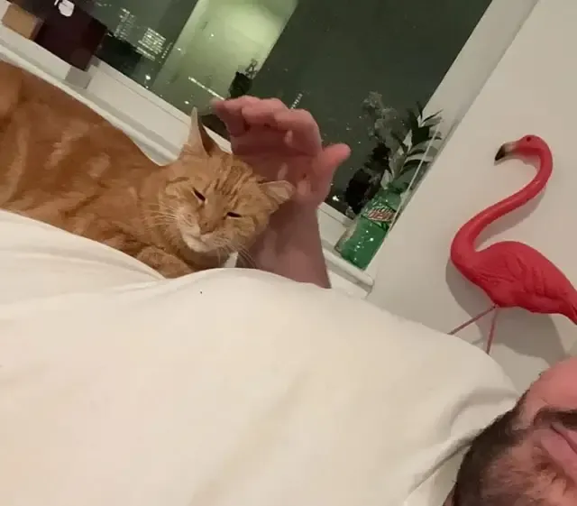 Extra image from article