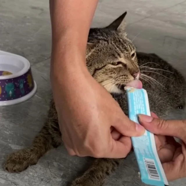 Extra image from article