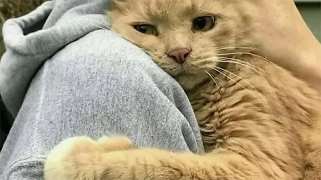 Overwhelmed with disbelief and joy, Robe...