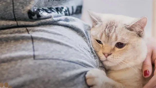 Emotions swept over Robert, dissolving y...