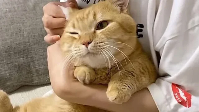 In the end, Chabin's remarkable journey ...