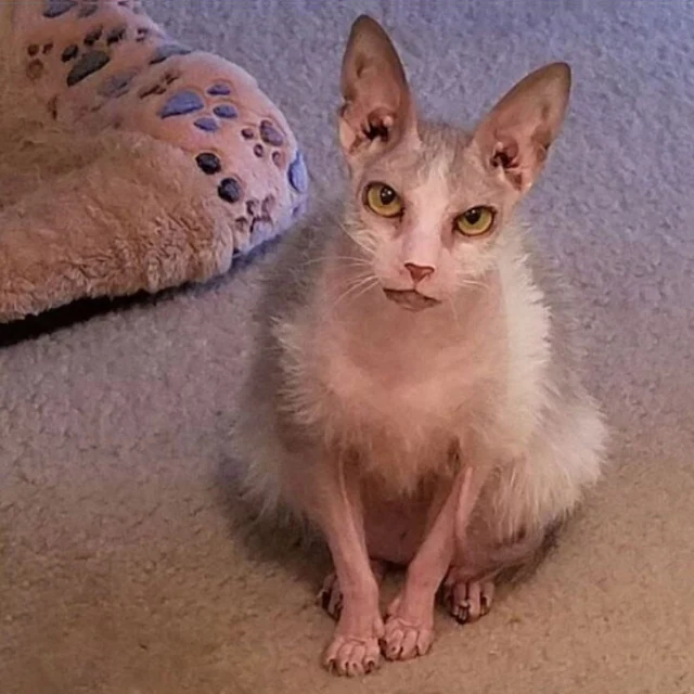 Yet, beneath her unconventional exterior...