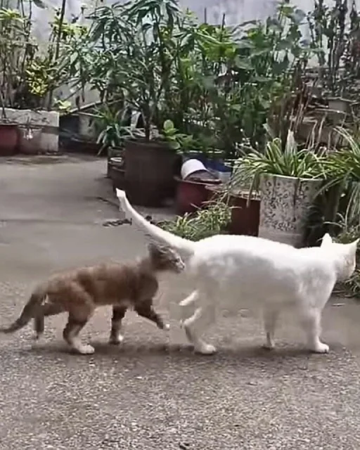 By then, the man had already decided to ...