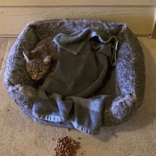 The first person to discover the situati...