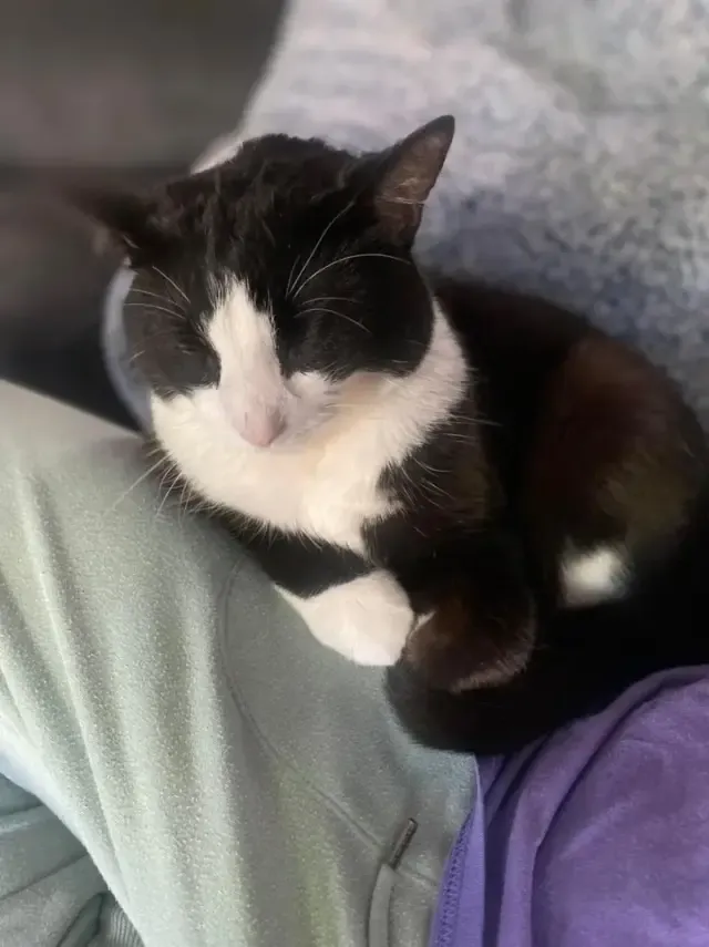 Extra image from article