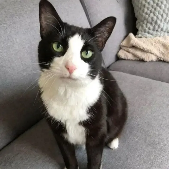 Extra image from article