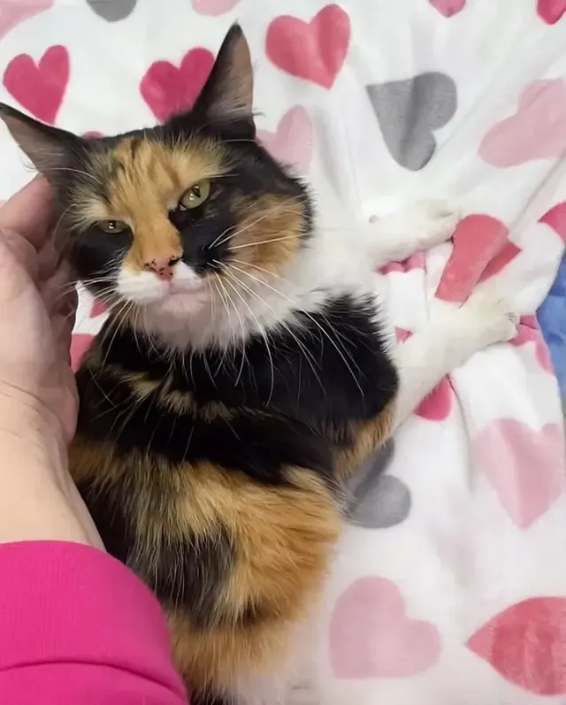 Share this heartwarming story with your ...