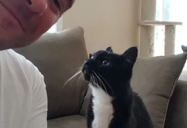 Sammy thrived in his new environment, be...