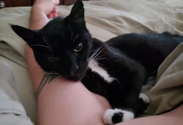 Extra image from article