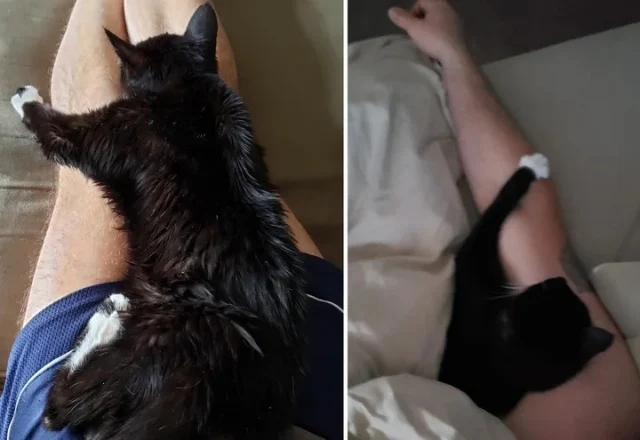 Extra image from article