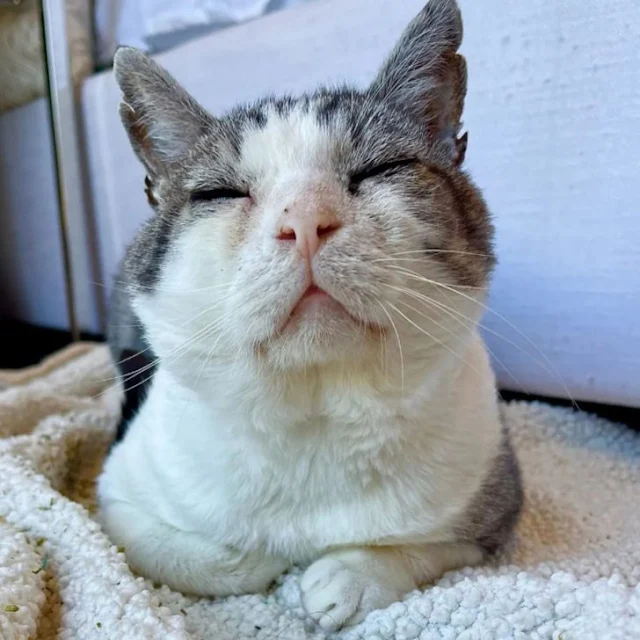 Extra image from article