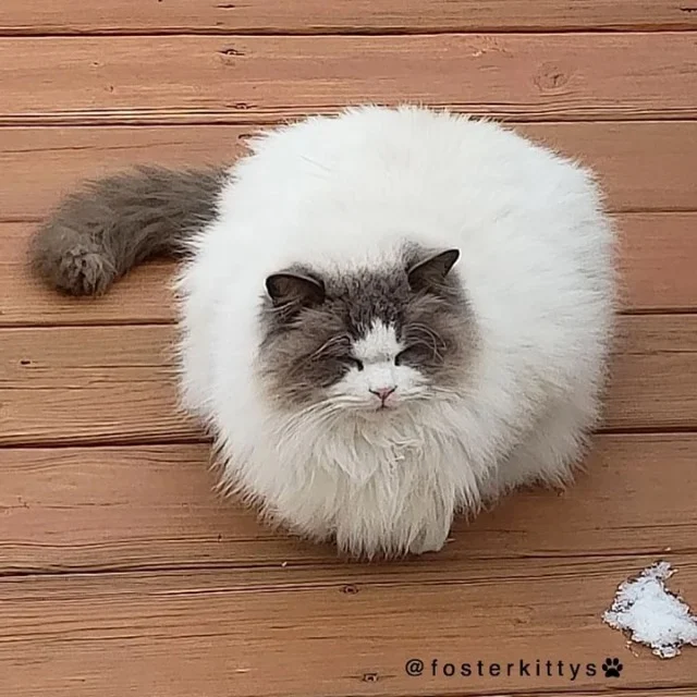 After time spent outdoors, Valentino dev...