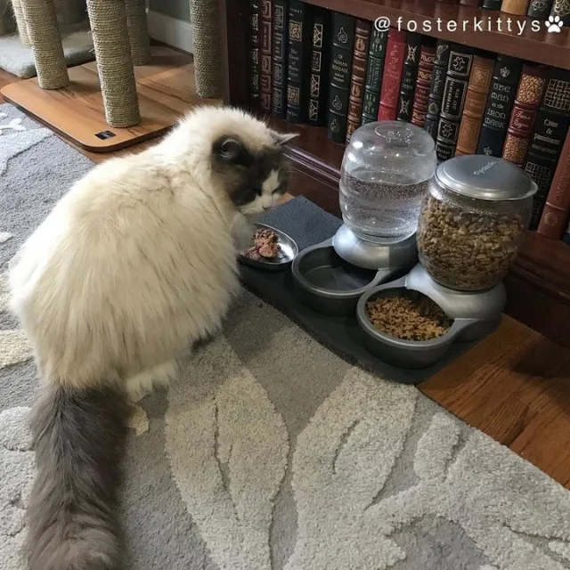 Extra image from article