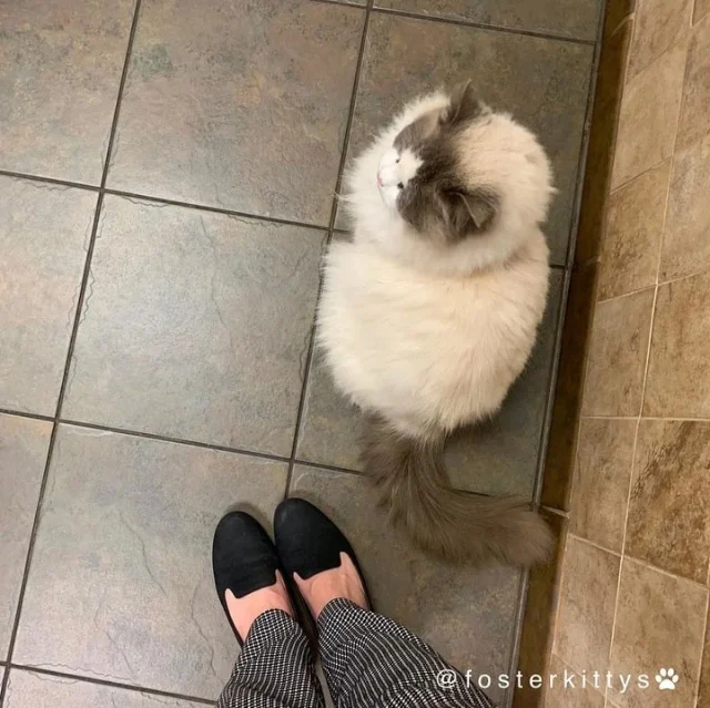 Extra image from article