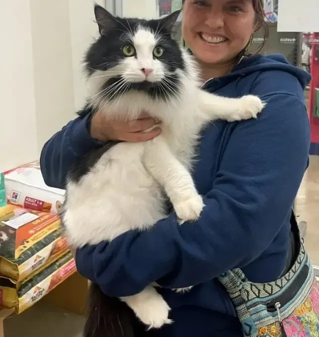 Extra image from article