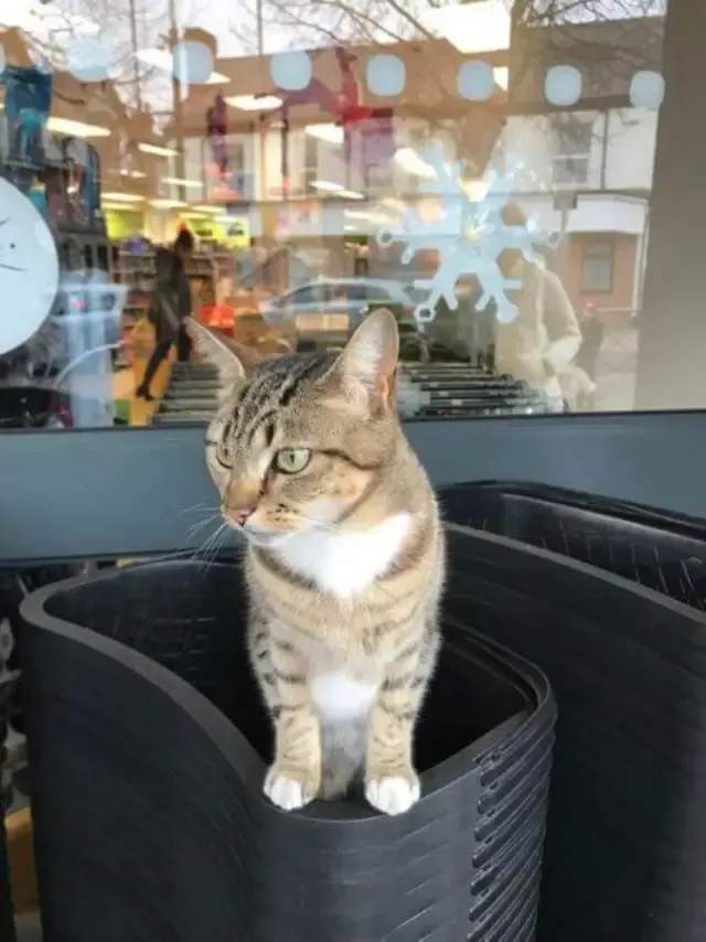 Andrea confessed, “I go and check her tw...