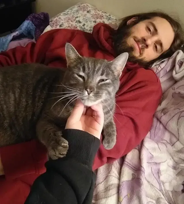 Extra image from article