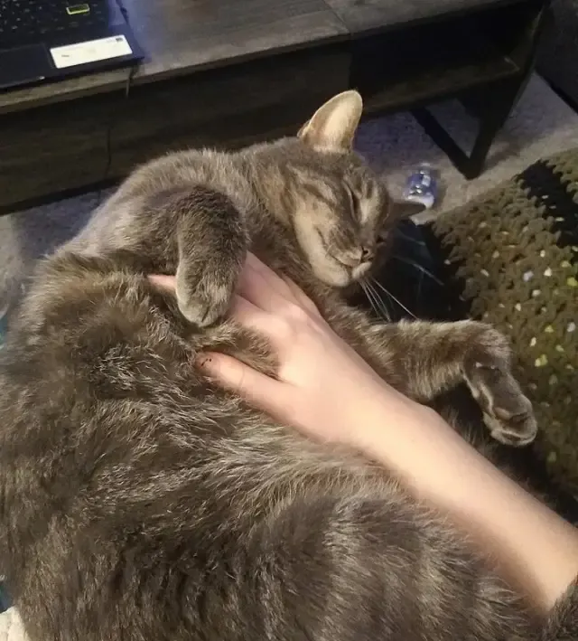 Extra image from article