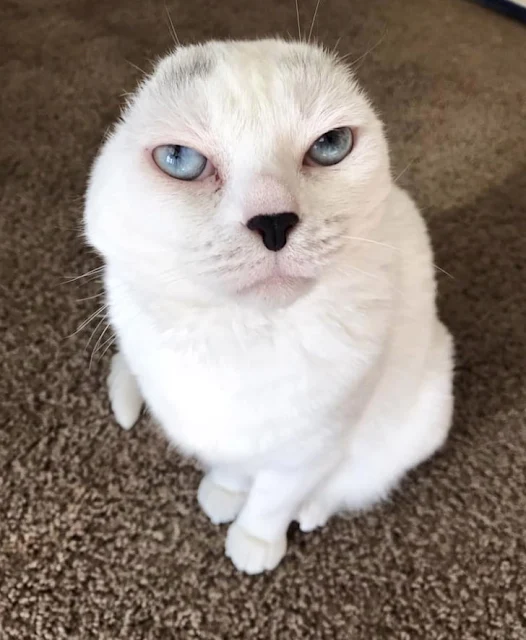 At the time, Molly, a graduate student, ...