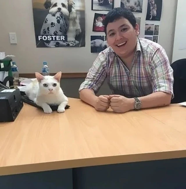 Extra image from article