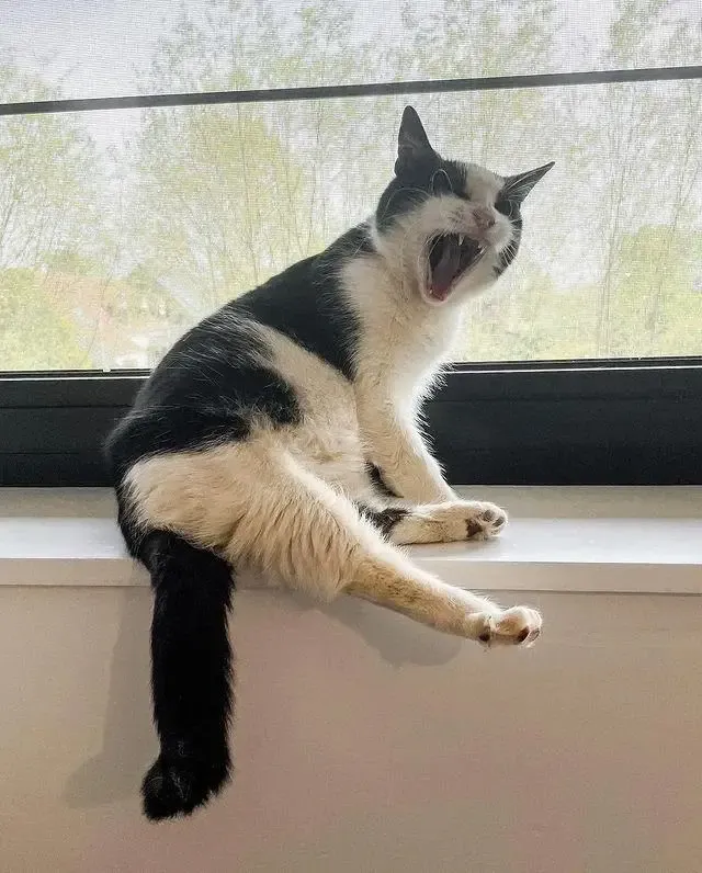 In just two weeks, Iluna went into labor...