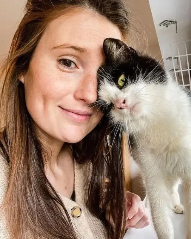 You can watch Iluna and her adorable kit...