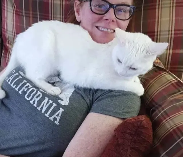 Extra image from article