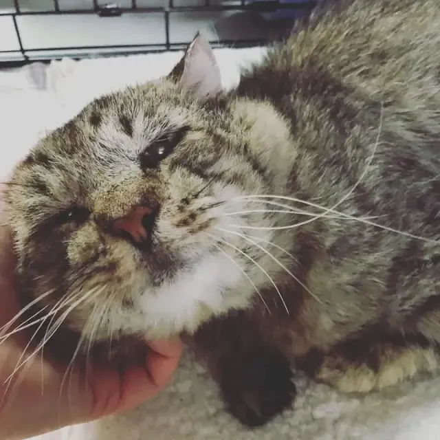 For more insights into Mr. B's new adven...