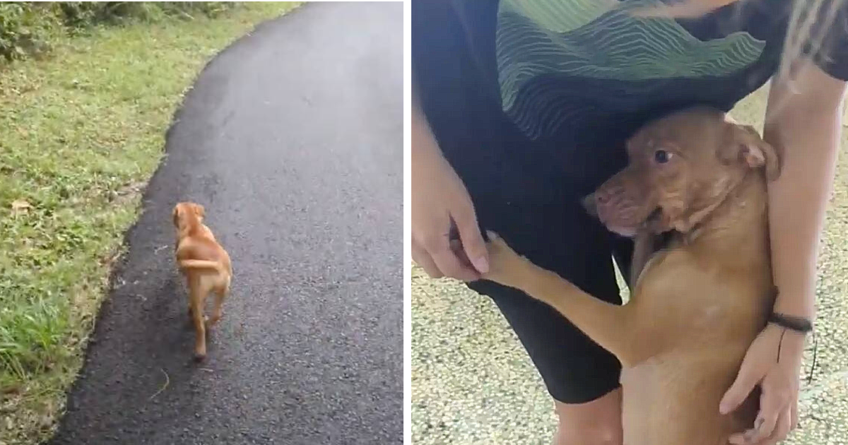 Being a volunteer with Miracles for Sato...