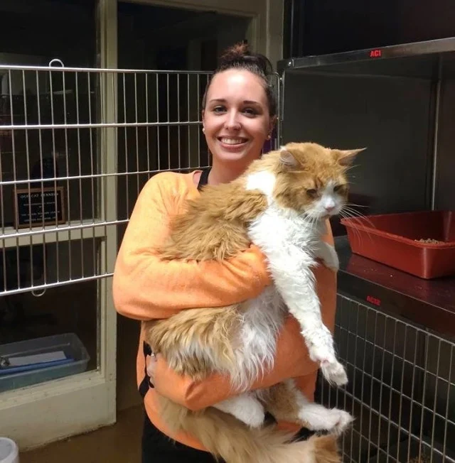 Extra image from article