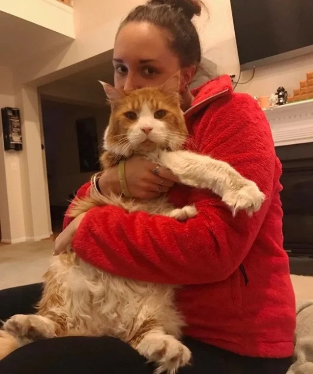 Extra image from article