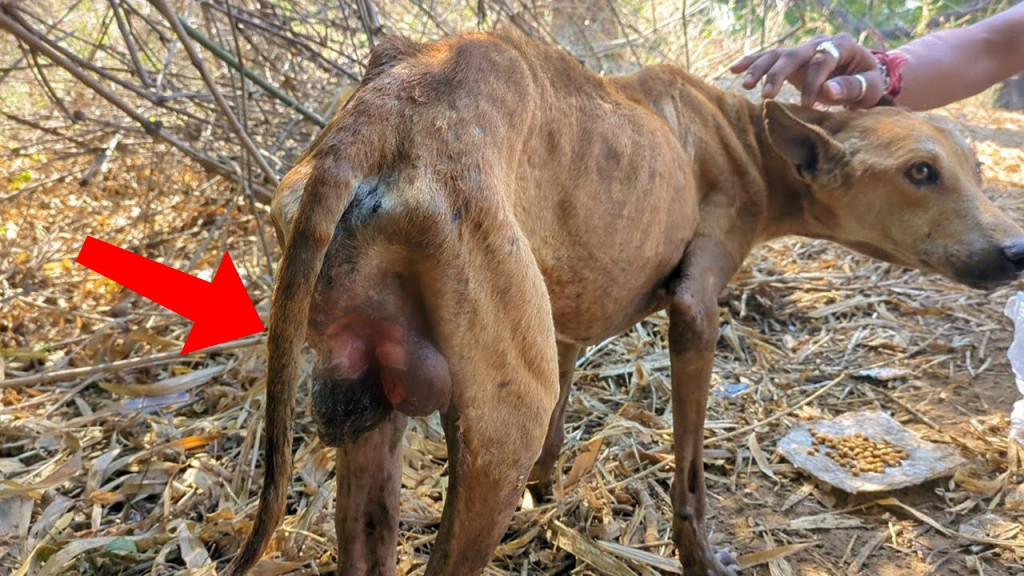 The team at RRSA India wasted no time in...