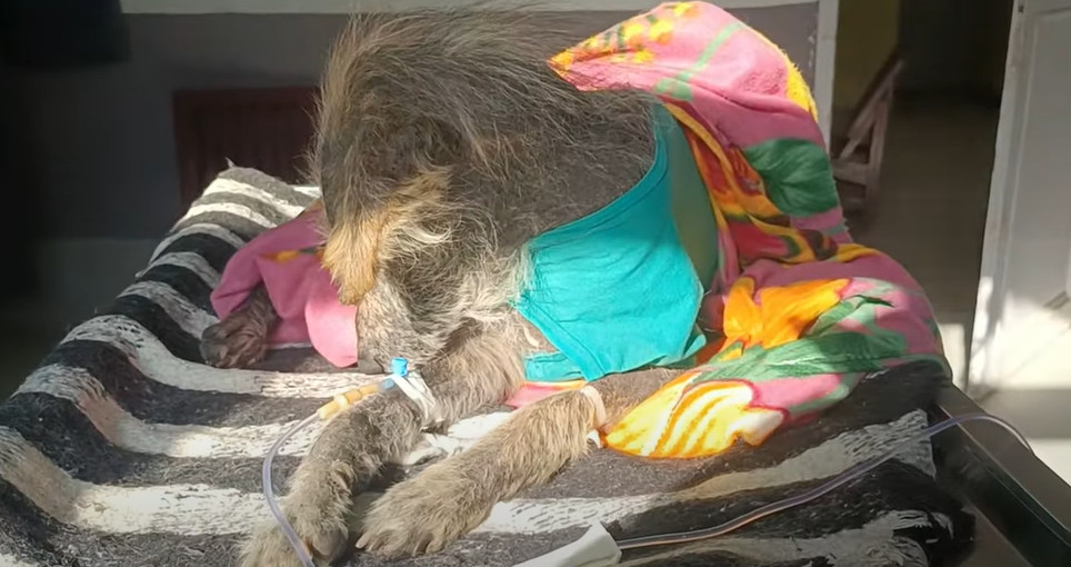 Even though Trumpad’s time was short, it...