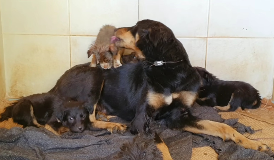 Extra image from article