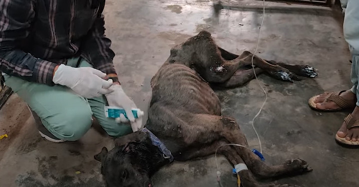 Jimmy's dire condition was the result of...