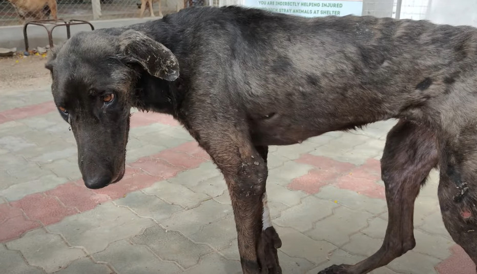 The team from RRSA India sprang into act...