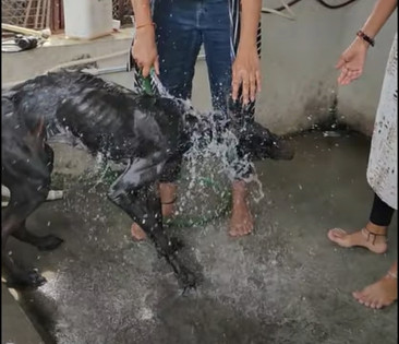 In the months that followed, Jimmy faced...