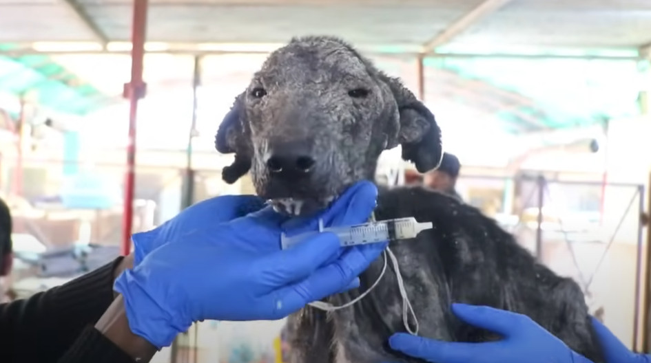 As she healed, she stood gracefully, a t...