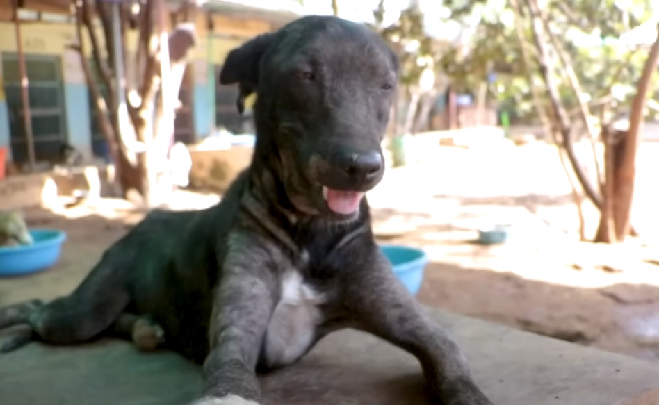 Extra image from article