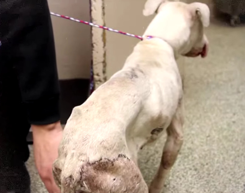 Extra image from article